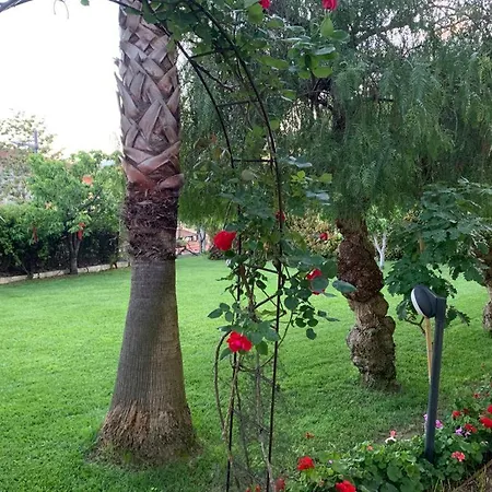 The Garden Bed & Breakfast *