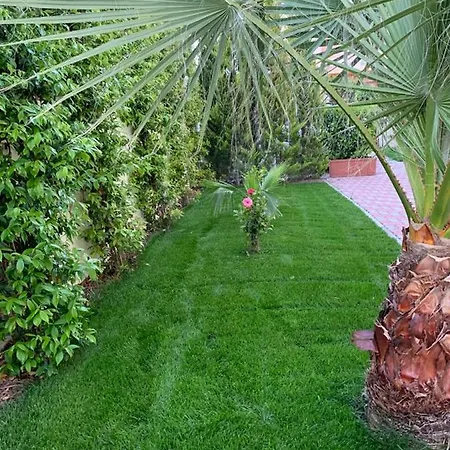 The Garden Bed & Breakfast *