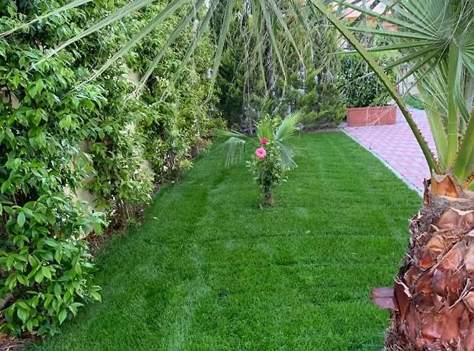 The Garden Bed & Breakfast 4*